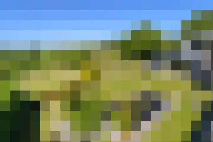Lerschenstraat 15 Simpelveld thumbnail 38