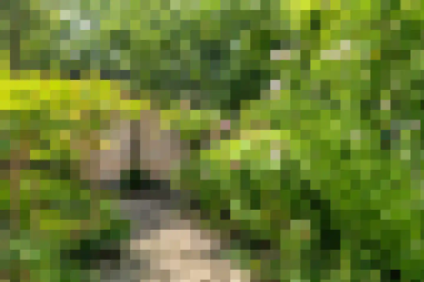 Lessestraat 1 Heemskerk thumbnail 37