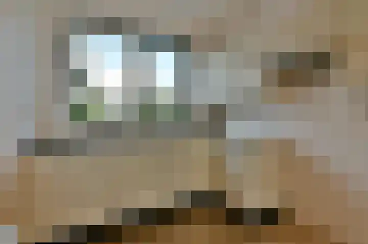 Lessestraat 160 Heemskerk thumbnail 7