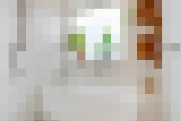 Lessinglaan 82 Utrecht thumbnail 37