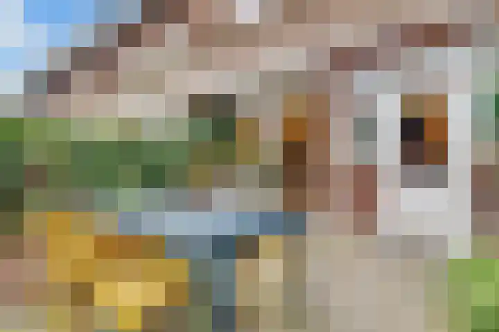 Lessinglaan 82 Utrecht thumbnail 58