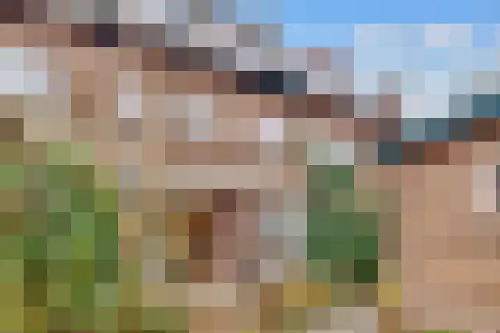 Lessinglaan 82 Utrecht thumbnail 60