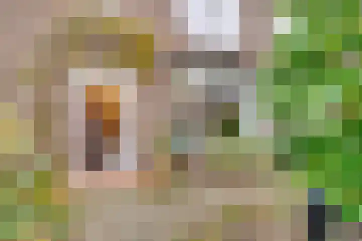 Lessinglaan 82 Utrecht thumbnail 9