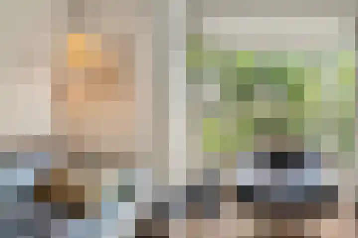 Lessinglaan 88 Utrecht thumbnail 11