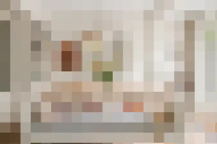Lessinglaan 88 Utrecht thumbnail 17