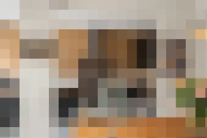 Lessinglaan 88 Utrecht thumbnail 19