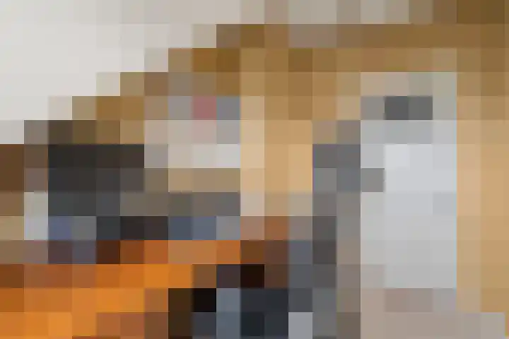 Lessinglaan 88 Utrecht thumbnail 44