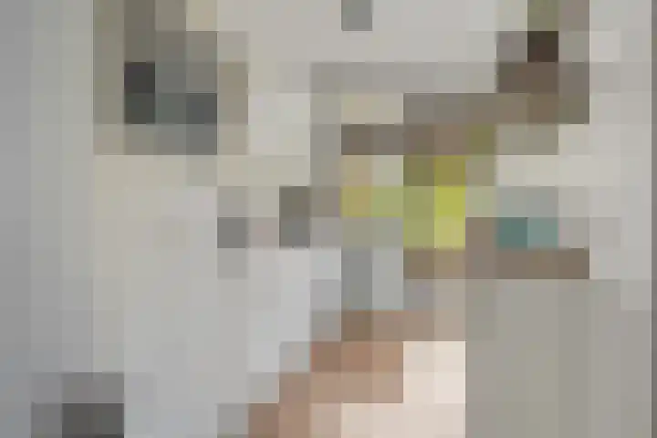Lessinglaan 9 1 Utrecht thumbnail 17