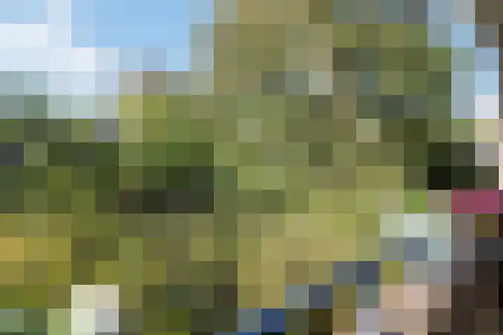 Lessinglaan 9 1 Utrecht thumbnail 27