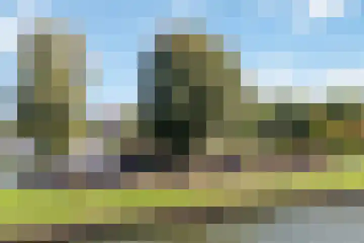 Lessinglaan 9 1 Utrecht thumbnail 30