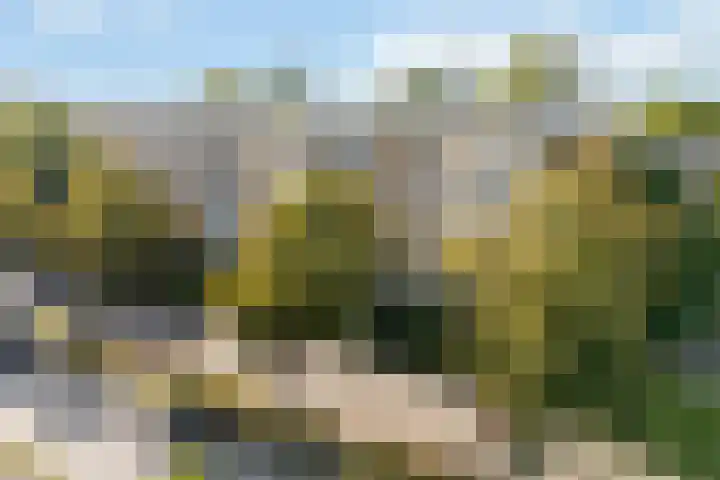 Lessinglaan 9 1 Utrecht thumbnail 6