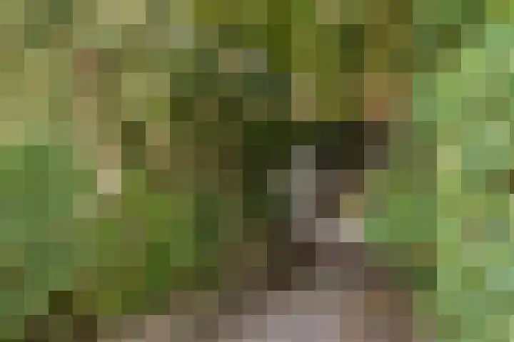 Lessinglaan 9 1 Utrecht thumbnail 7
