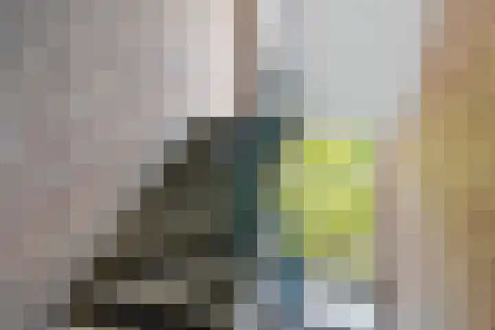 Lessinglaan 9 1 Utrecht thumbnail 8