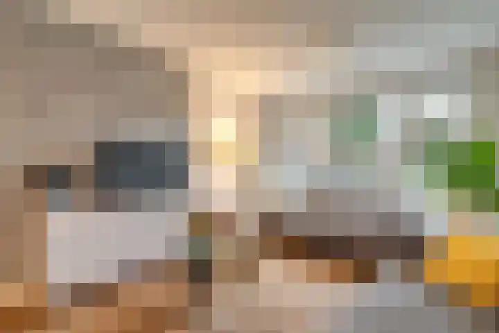 Lessinglaan 95 Utrecht thumbnail 11