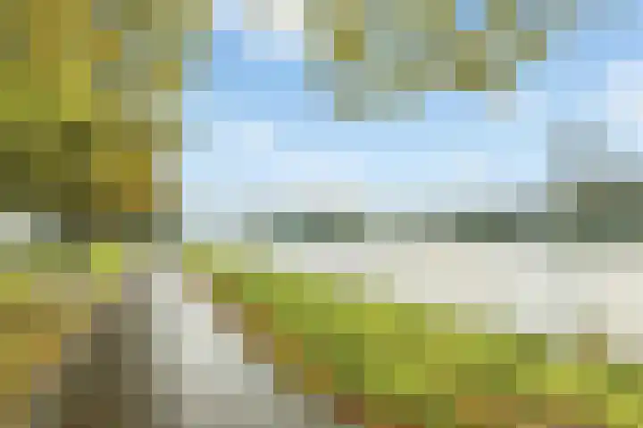 Lessinglaan 95 Utrecht thumbnail 54