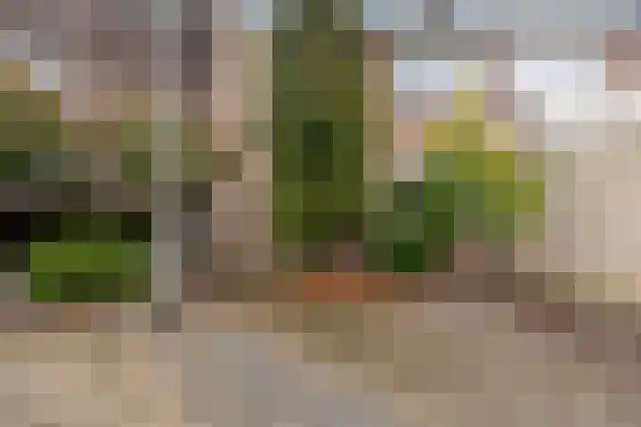 Lesterhuispad 33 in Arnhem