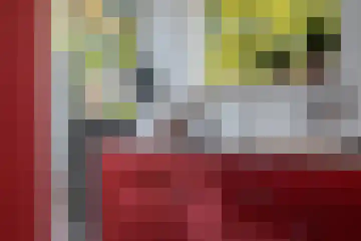 Lesturgeonstraat 11 Assen thumbnail 18