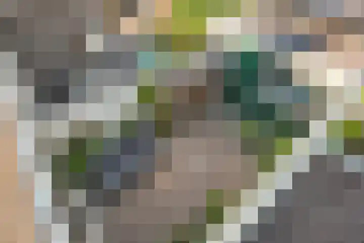 Lesturgeonstraat 11 Assen thumbnail 41