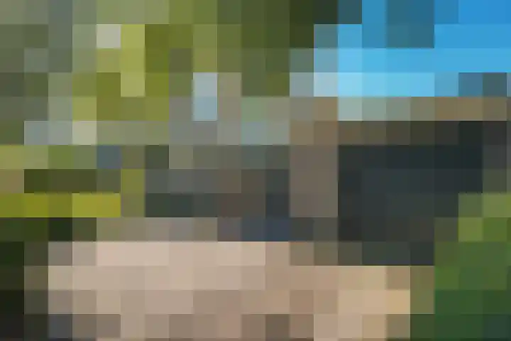 Lesturgeonstraat 11 Assen thumbnail 44