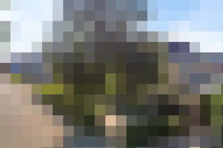 Lesturgeonstraat 11 Assen thumbnail 45