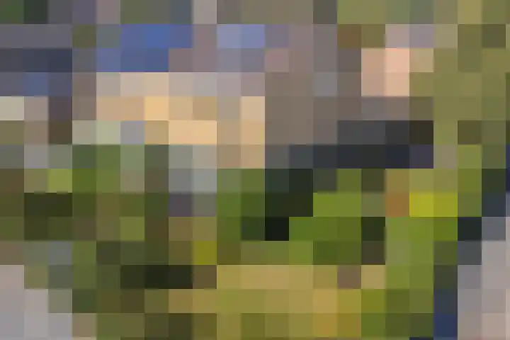 Lesturgeonstraat 11 Assen thumbnail 5