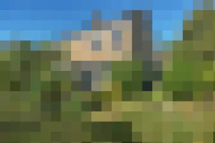 Lesturgeonstraat 11 Assen thumbnail 6