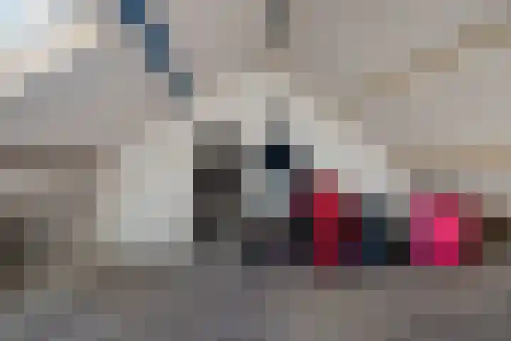 Lesturgeonstraat 24 Assen thumbnail 31