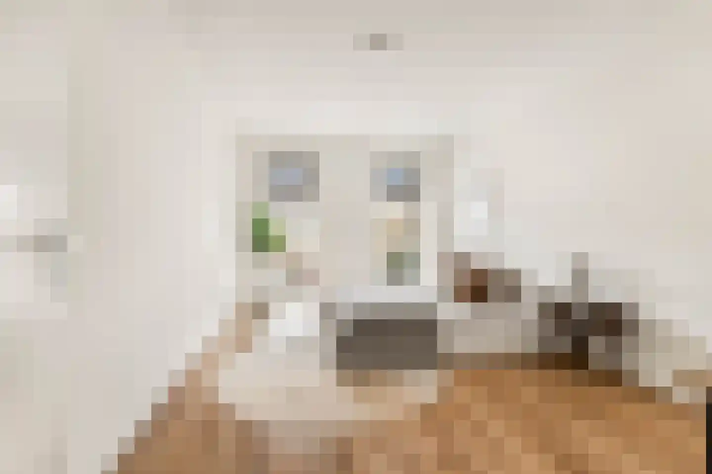 Lesturgeonstraat 32 Assen thumbnail 17