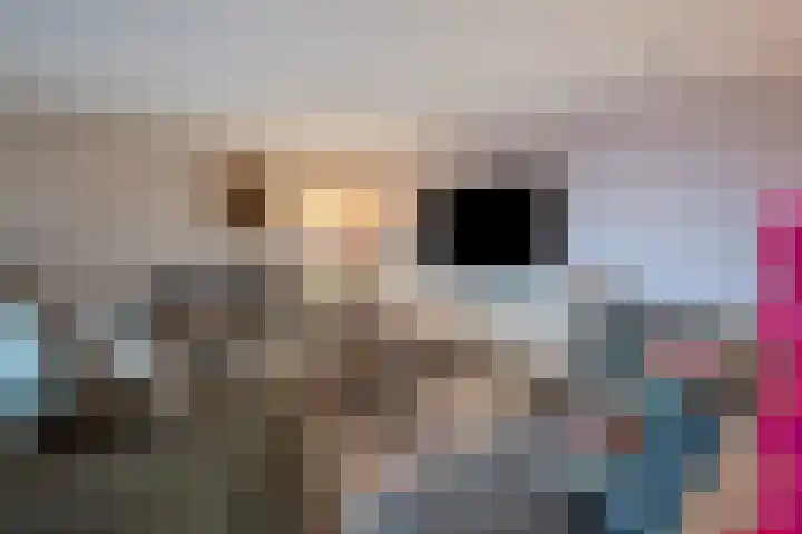 Letland 18 Delft thumbnail 16