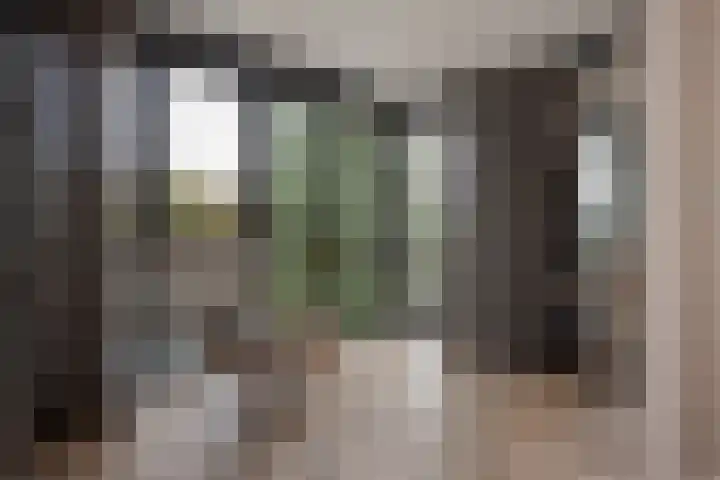 Letland 18 Delft thumbnail 22