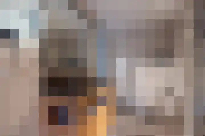 Letland 18 Delft thumbnail 26