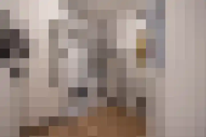 Letland 18 Delft thumbnail 33