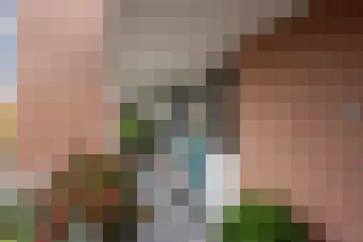 Letland 18 Delft thumbnail 34