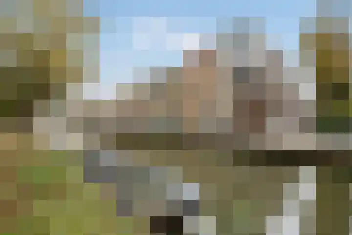 Letland 18 Delft thumbnail 36