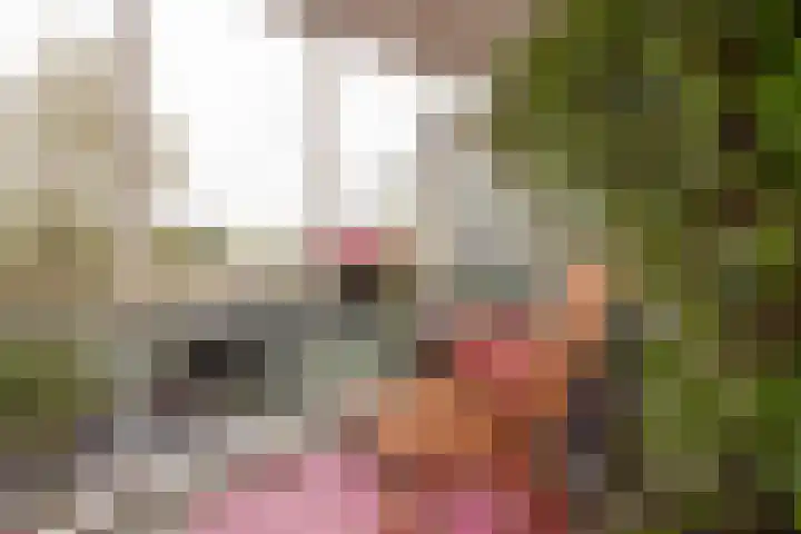 Letland 18 Delft thumbnail 5
