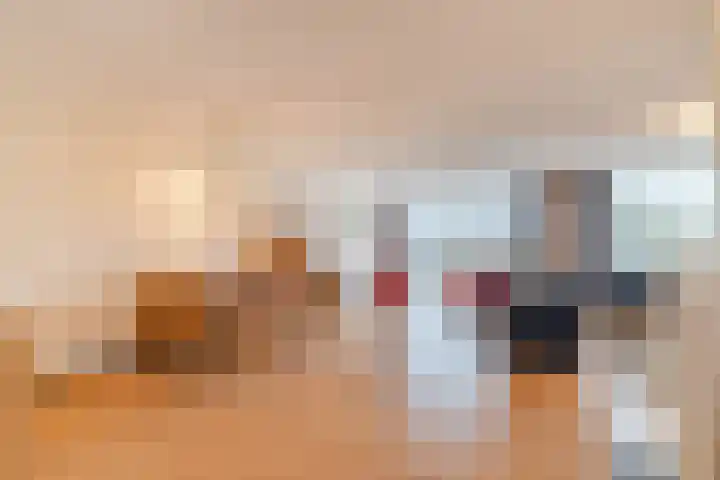 Letland 50 Delft thumbnail 8