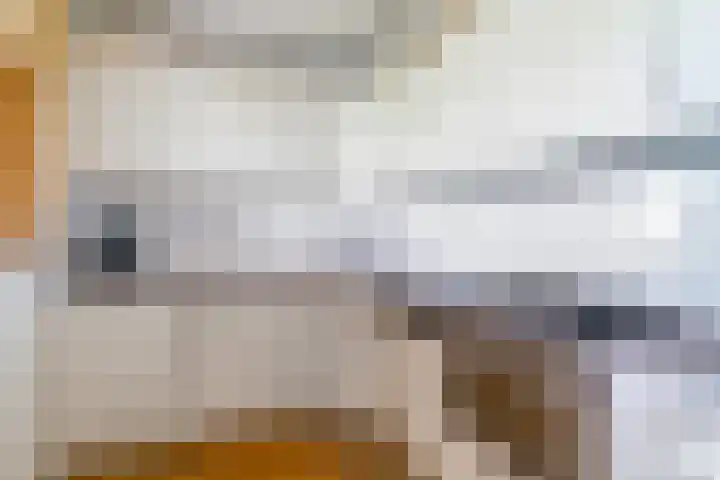Letland 54 Delft thumbnail 11