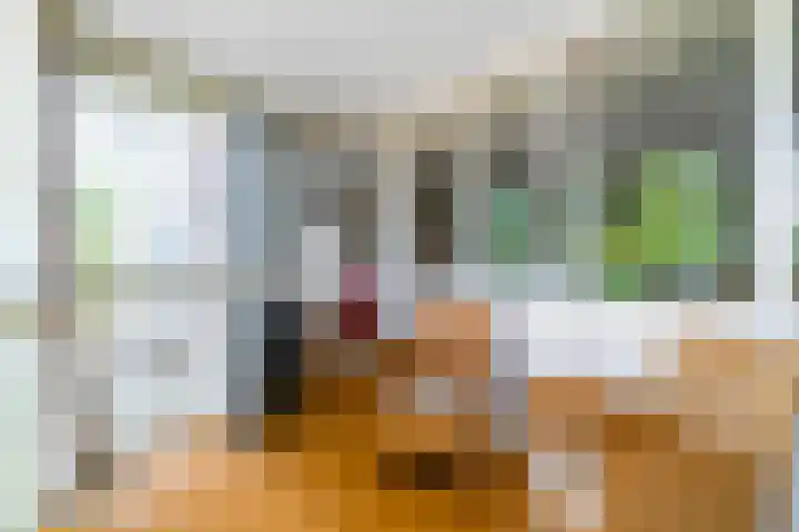 Letland 54 Delft thumbnail 13