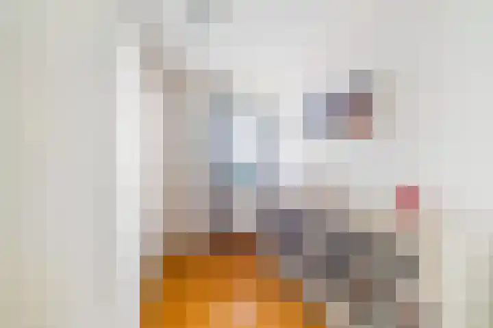 Letland 54 Delft thumbnail 16