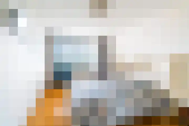 Letland 54 Delft thumbnail 17