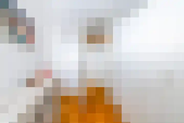 Letland 54 Delft thumbnail 18