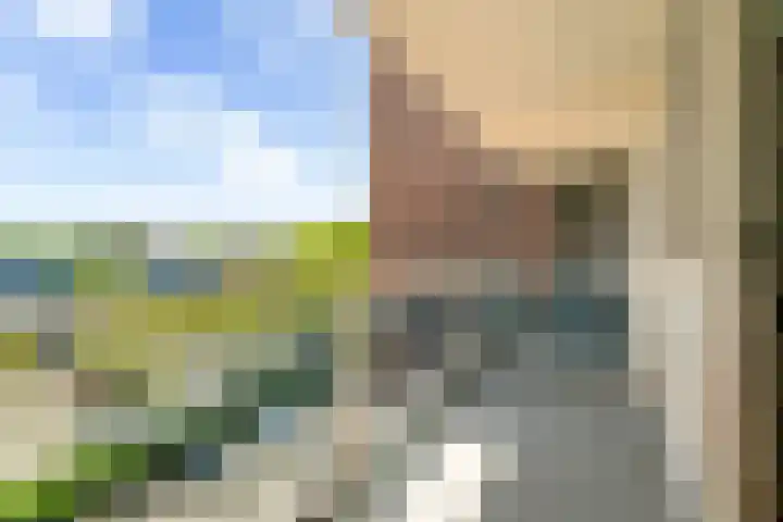 Letland 54 Delft thumbnail 19