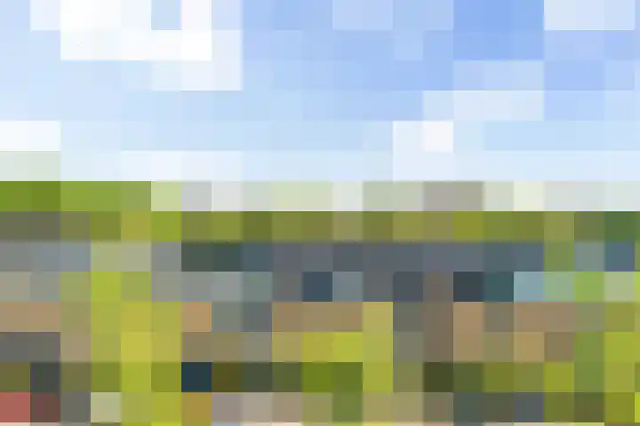 Letland 54 Delft thumbnail 20