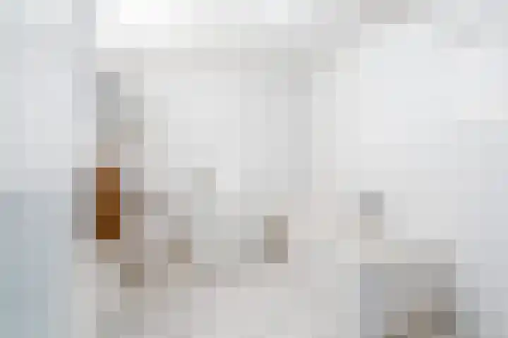 Letland 54 Delft thumbnail 23