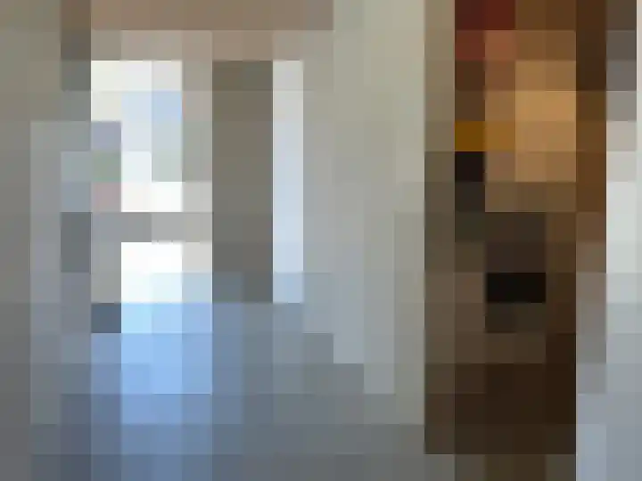 Letland 54 Delft thumbnail 26