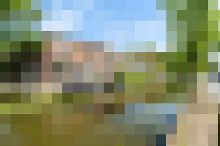 Letland 54 Delft thumbnail 27