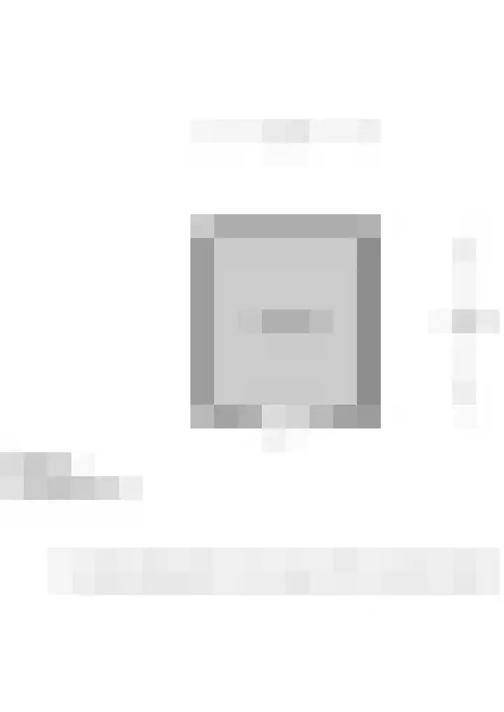 Letland 54 Delft thumbnail 31