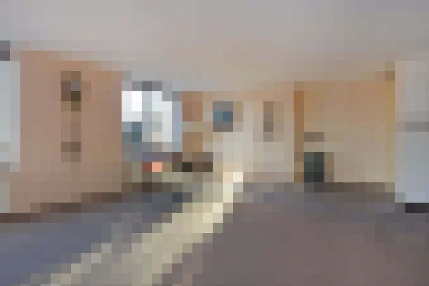 Letland 8 Delft thumbnail 17