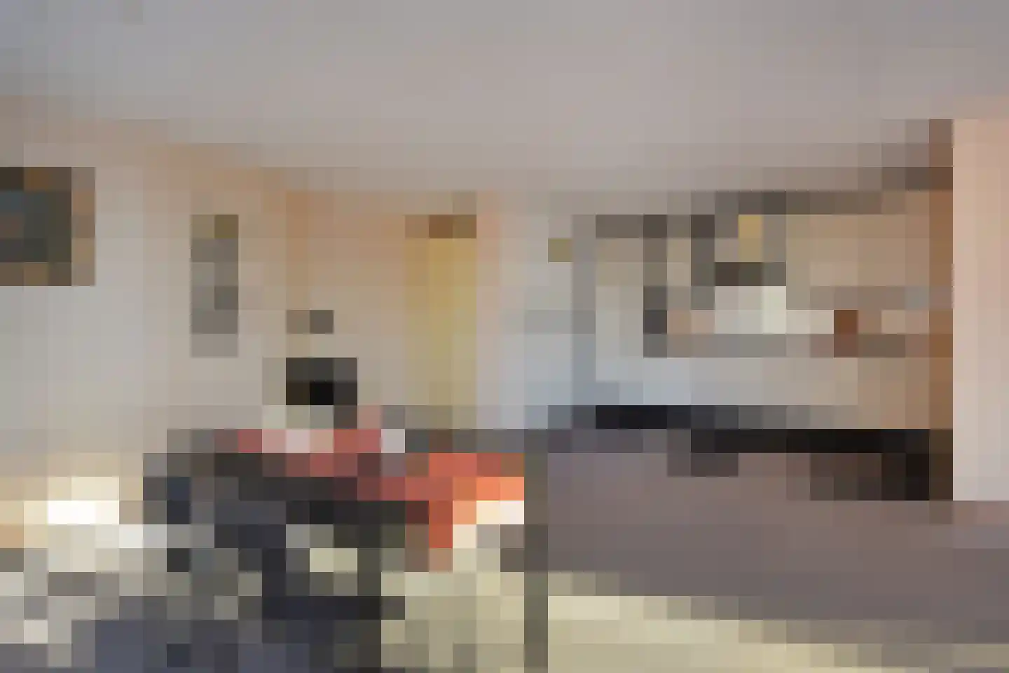 Letland 8 Delft thumbnail 18