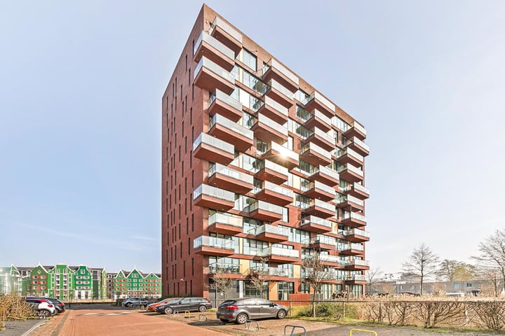 Letterhout 43 in Zaandam foto